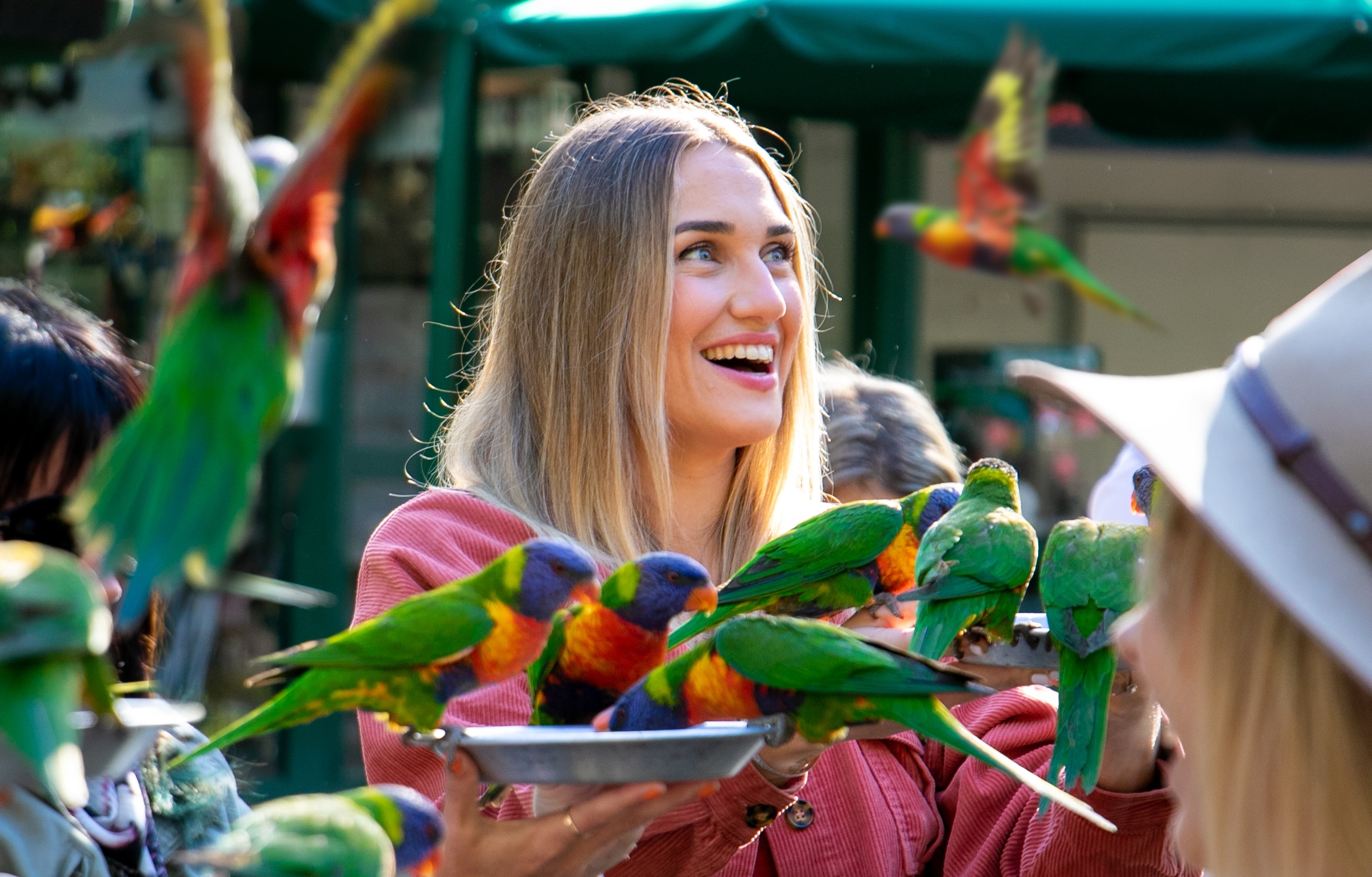 Currumbin Wildlife Sanctuary Tickets - Photo 1 of 5