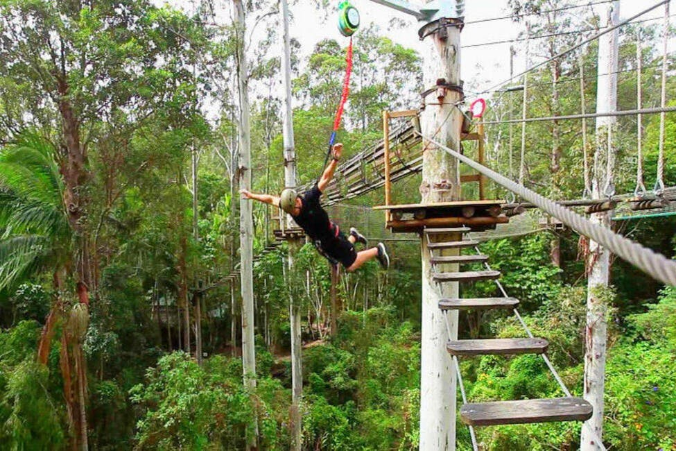 Currumbin Wildlife Sanctuary and TreeTop Challenge: Combo Ticket - Photo 1 of 5