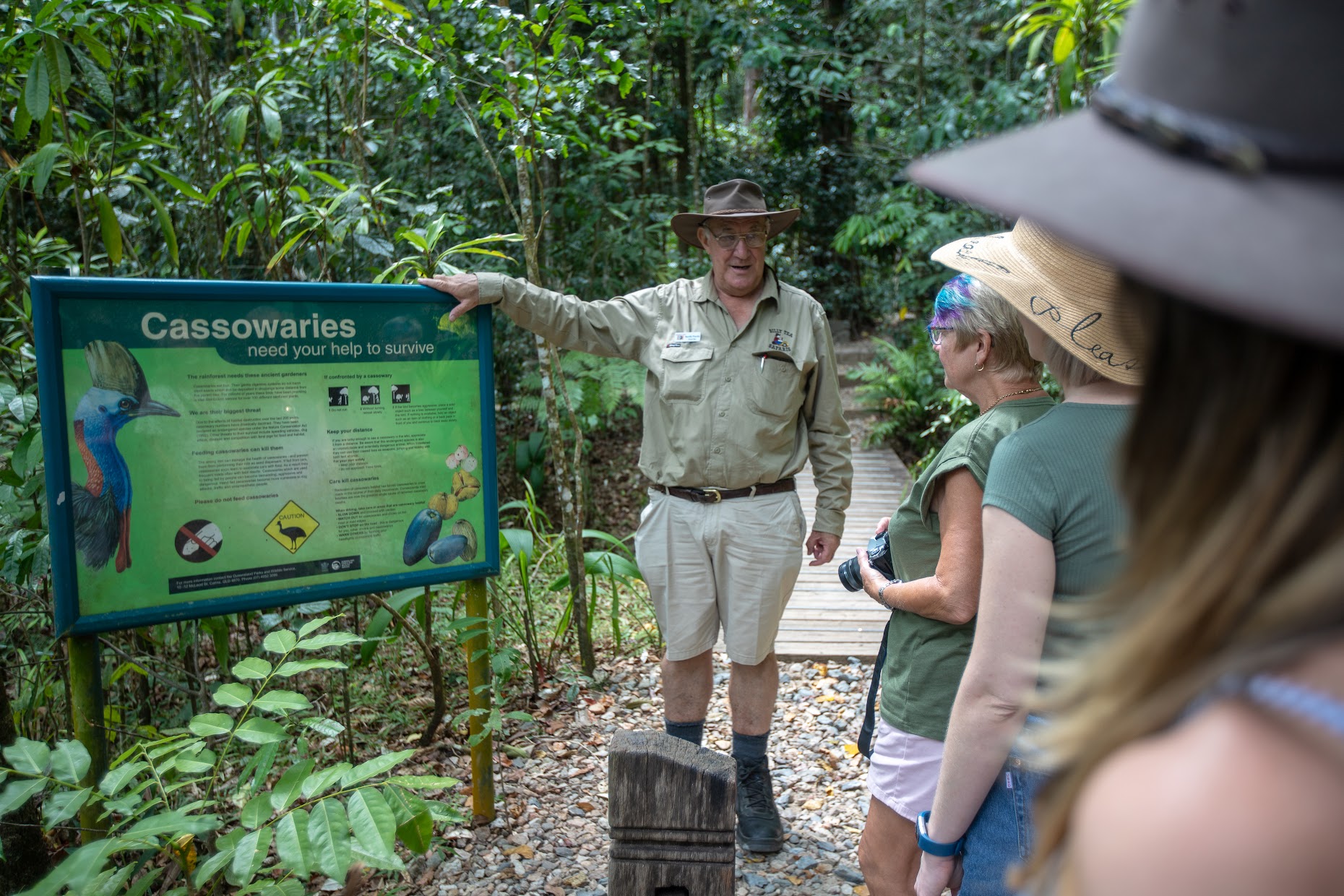 Discover the wonder of the Daintree Rainforest with an expert guide unveiling the secrets of local wildlife and lush plant life in an immersive educational experience.