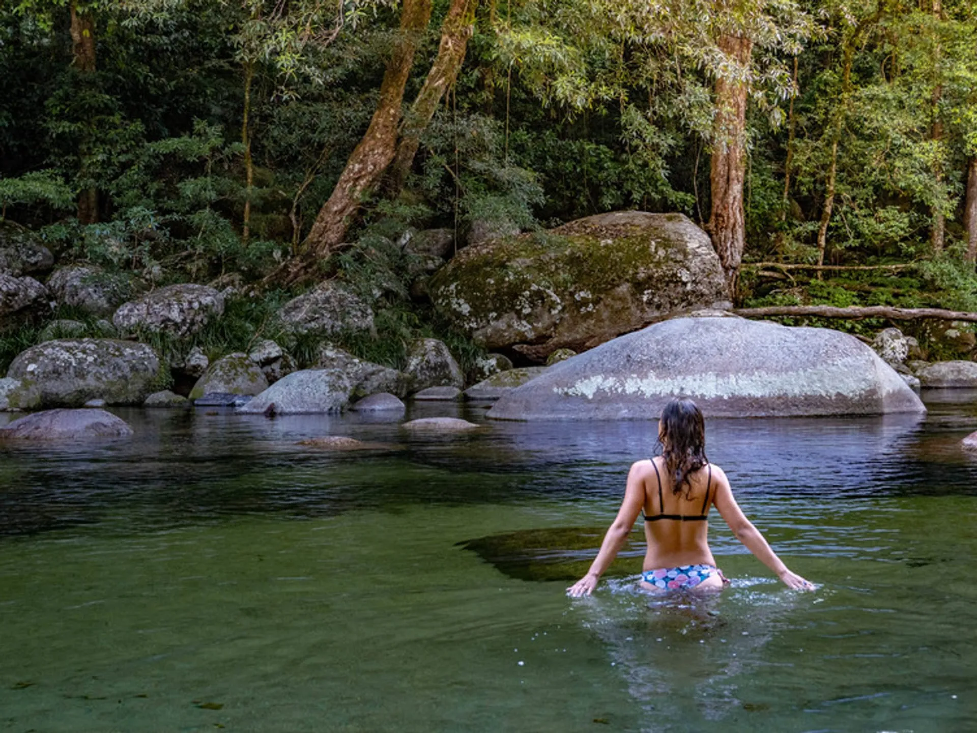 0921-0134_daintree-rainforest-