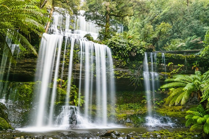 Day Tour in Mt. Field, Mt. Wellington, Bonorong Wildlife Sanctuary and Richmond - Photo 1 of 8
