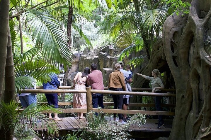 Daytime Scenic Rim Glow Worm Tour + Hop on Hop off Bus - Photo 1 of 6