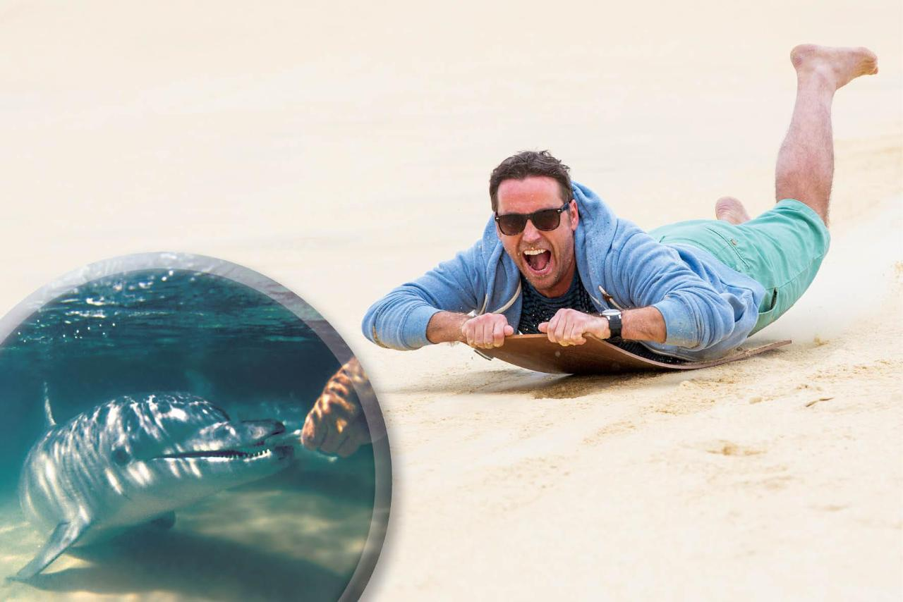 Desert Safari Day Cruise Upgrade Dolphin Feeding ex Gold Coast - Photo 1 of 1