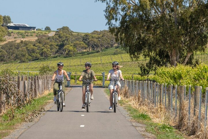 Discover McLaren Vale on eBikes - Full Day - Photo 1 of 6