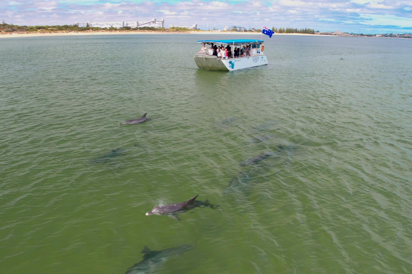 Dolphin Discovery Centre Bunbury: Eco-Cruise Tour - Photo 1 of 12