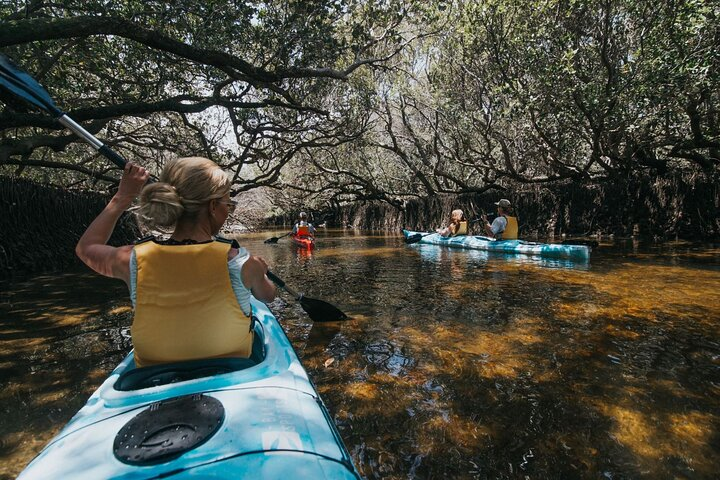 Dolphin Sanctuary Kayak Tour Adelaide - Photo 1 of 15