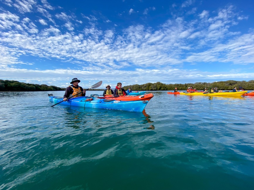 Dolphin Sanctuary Mangroves Kayak Tour - Photo 1 of 5