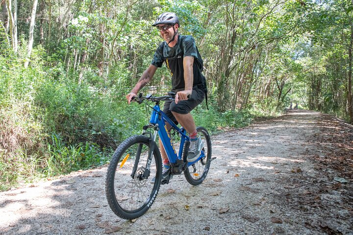 Tweed Electric Bikes On Rail Trails E-Bike Rentals: Daily Hire