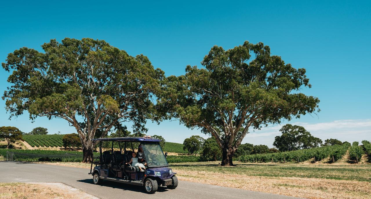 EcoVine Explorer - e-cart vineyard tour - Photo 1 of 11