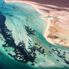 Eastern Explorer Scenic Flight from Shark Bay  - Photo 1 of 1