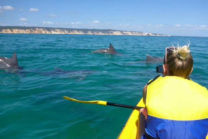 Noosa dolphin sea kayaking tour