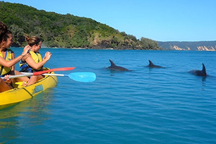 Rainbow Beach: Dolphin & Wildlife Ocean Kayak & Beach 4WD Tour - Photo 1 of 12