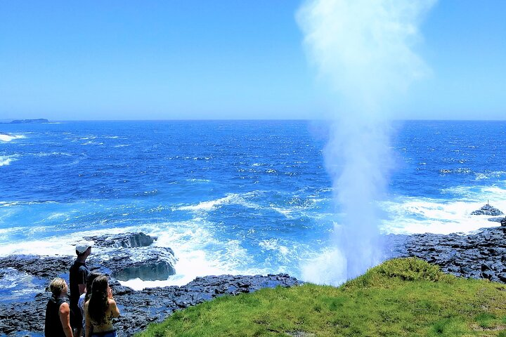 Experience the stunning coastal blowholes alongside breathtaking views of the ocean inviting travelers to witness nature's wonder on the South Coast of Sydney's remarkable landscape.