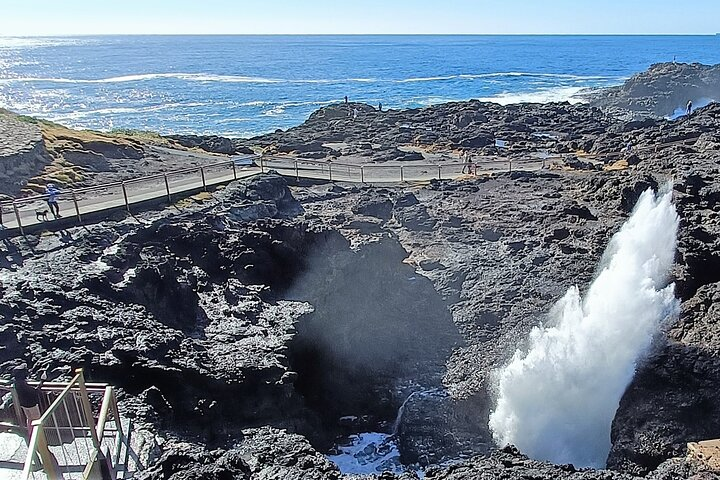Experience the power of nature as ocean waves crash against rocky shores creating a spectacular display at Kiama Blowhole. Unwind with stunning coastal views and explore nearby paths.