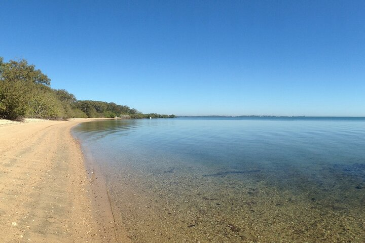 Immerse yourself in the serenity of Morwong Beach where golden sands meet crystal-clear waters. Discover Coochiemudlo Island's hidden gems guided by local stories intertwined with nature’s charm.