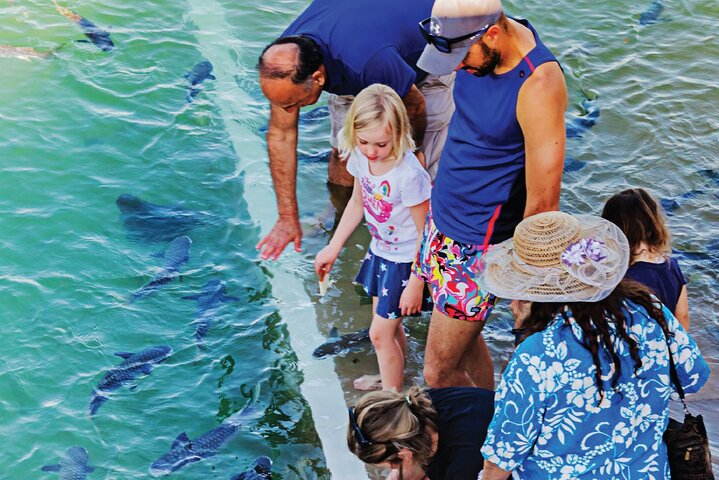 Darwin: Feed Fish at Aquascene. Tickle Your Toes at Doctors Gully - Photo 1 of 7