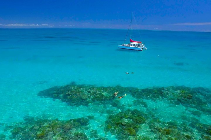 Cairns Full-Day Great Barrier Reef Snorkelling Tour - Photo 1 of 13