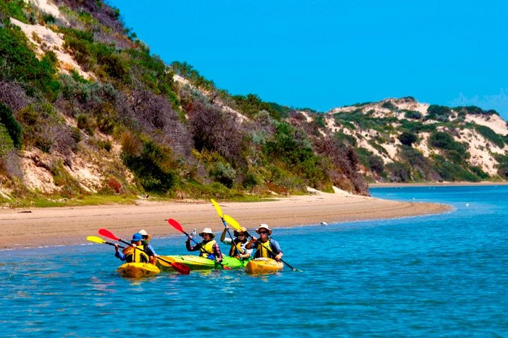 Kayaking the Coorong National Park