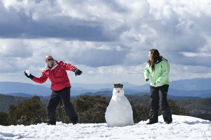 Full-Day Mount Buller Tour - Photo 1 of 17