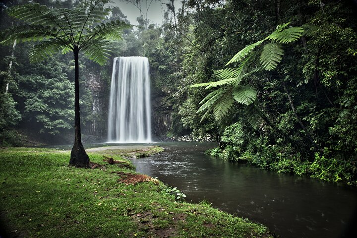 Millaa Millaa Water Falls

