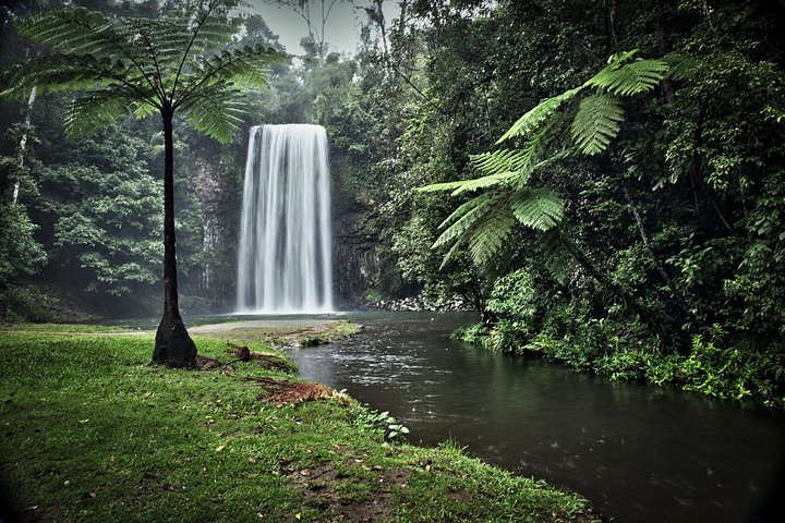 Millaa Millaa Water Falls