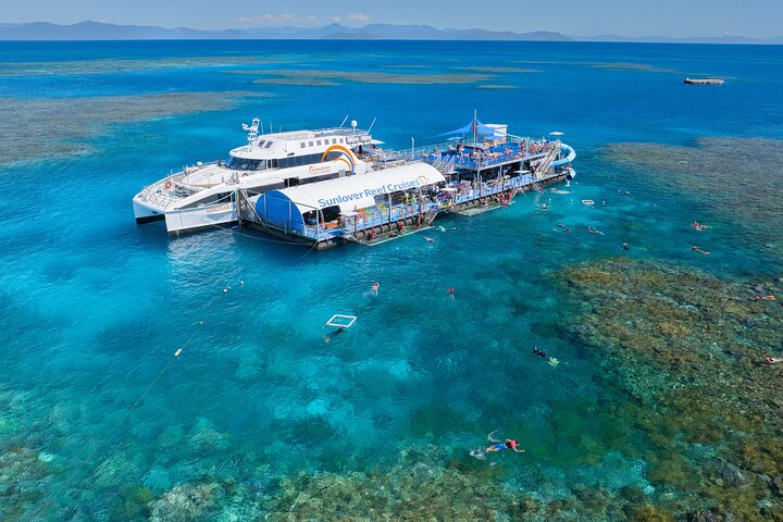 Full Day Premium Tour to Sunlover Moore Reef and Fitzroy Island - Photo 1 of 22