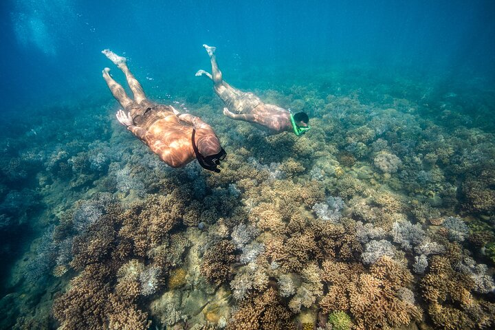 Full-Day Whitsunday Sail and Snorkel Adventure with Lunch - Photo 1 of 14
