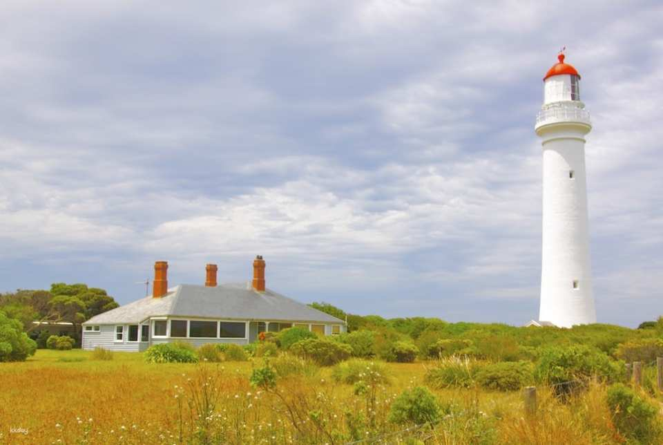 [Good news for lazy people] Melbourne Great Ocean Road one-day tour light luxury sunset small group (Twelve Apostles Rock sunset feast + late departure + multiple pick-up points in the city) - Photo 1 of 6