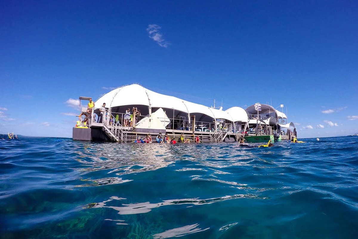 Great Barrier Reef Adventure from Cairns - Photo 1 of 17
