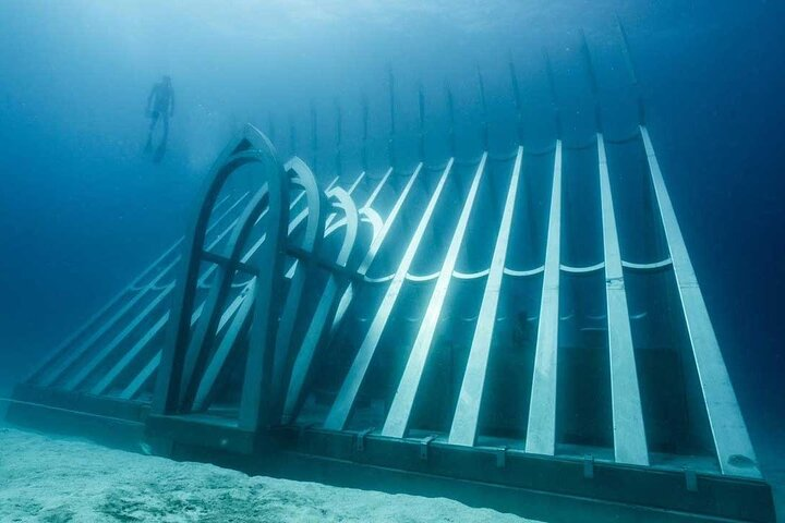Great Barrier Reef and MOUA Cruise from Townsville or Magnetic Island - Photo 1 of 6