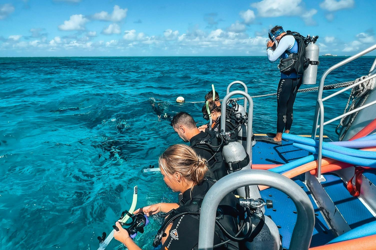 Outer Great Barrier Reef: Guided Snorkelling Tour from Port Douglas + Lunch - Photo 1 of 5