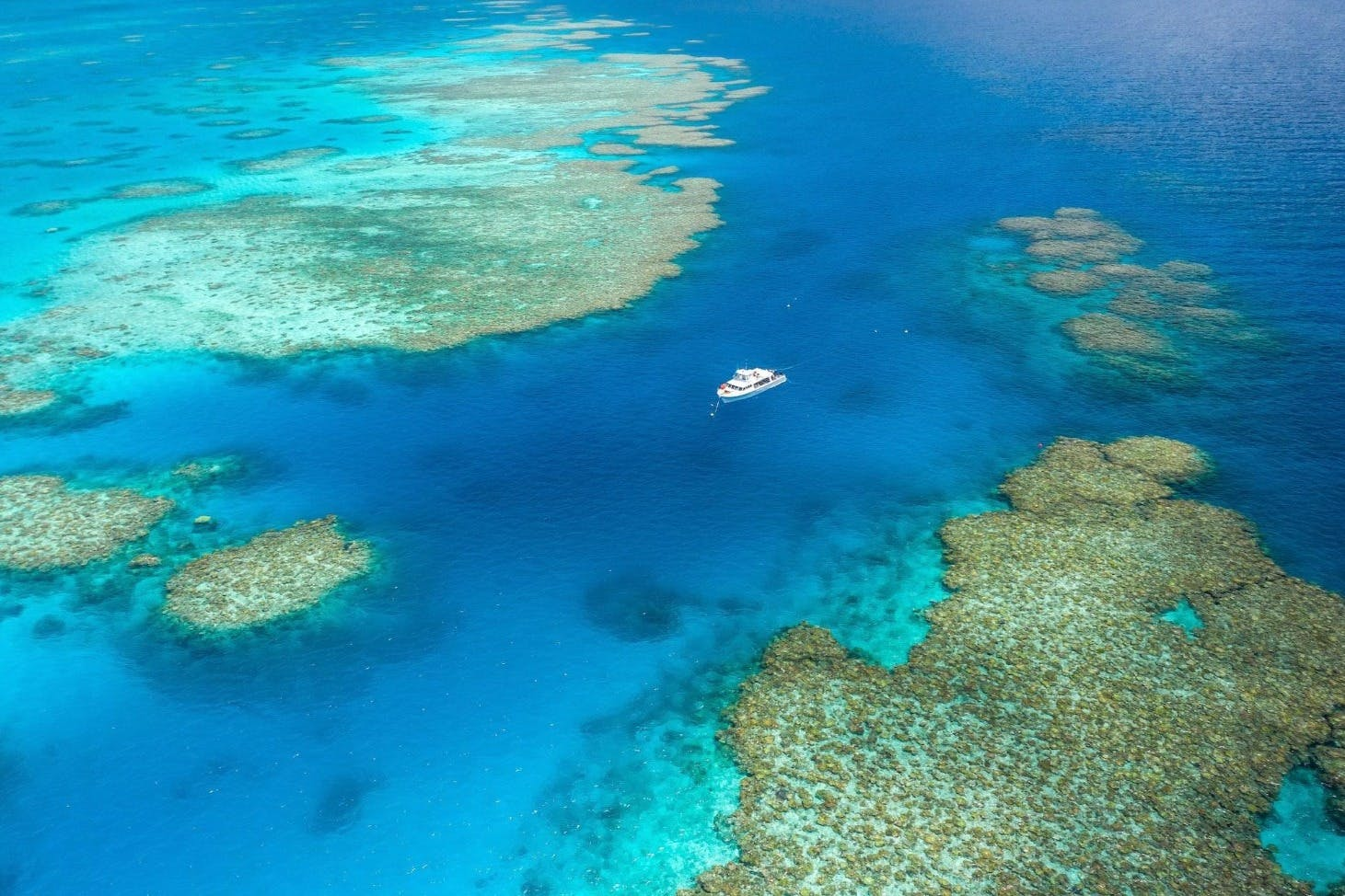 Great Barrier Reef & MOUA: Boat Tour + Snorkeling + Lunch - Photo 1 of 7