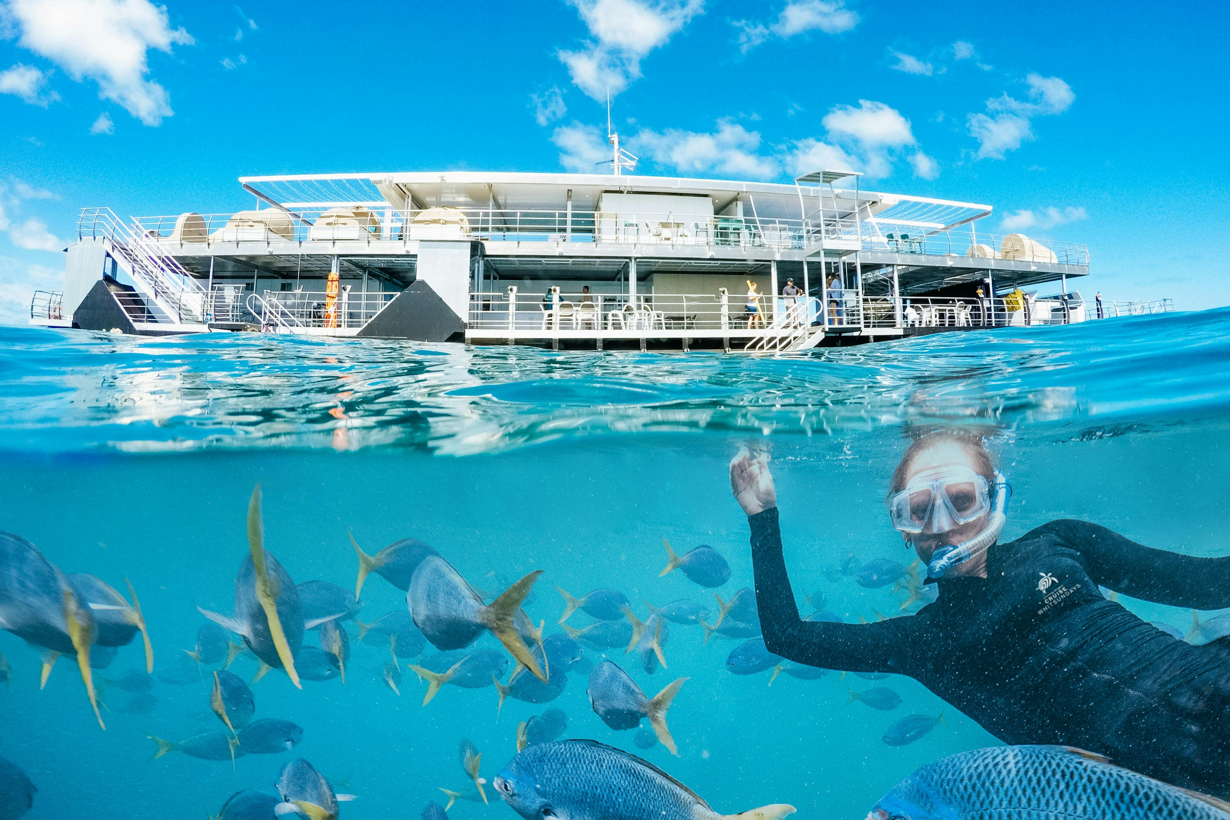 Great Barrier Reef: Pontoon Cruise + Semi-Submarine Tour + Buffet Lunch - Photo 1 of 8