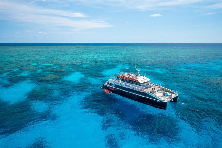 Great Barrier Reef with Cultural Guides-Dreamtime Dive & Snorkel - Photo 1 of 15