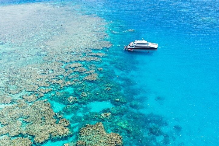 Great Barrier Reef with Cultural Guides-Dreamtime Dive & Snorkel - Photo 1 of 13