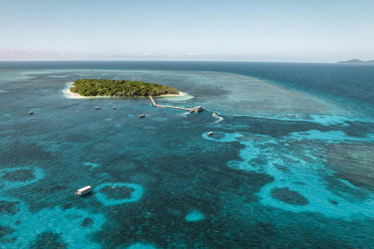 Green Island: Day Cruise from Cairns - Photo 1 of 5