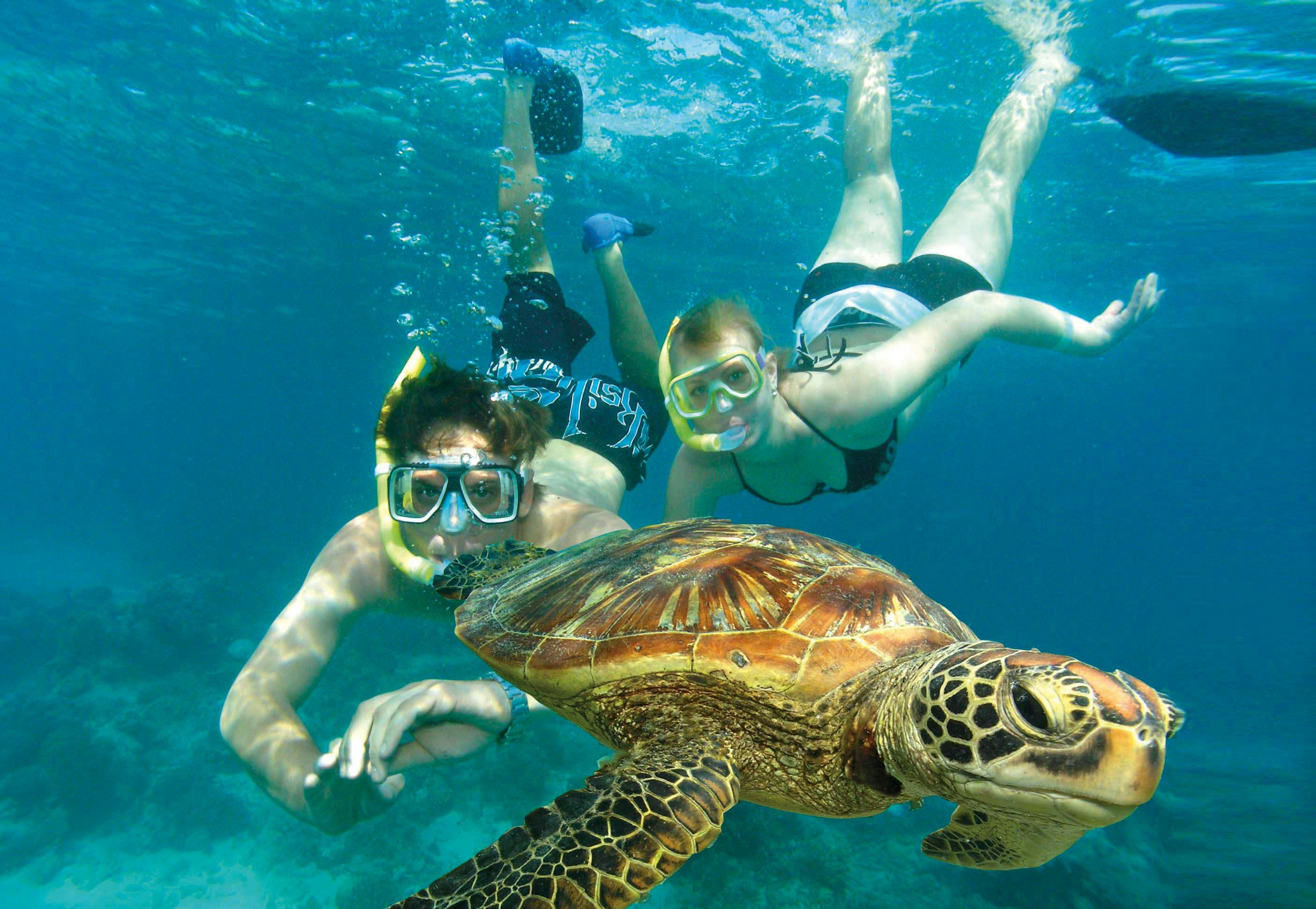 Green Island Eco Adventure Tour: Catamaran Cruise from Cairns - Photo 1 of 7