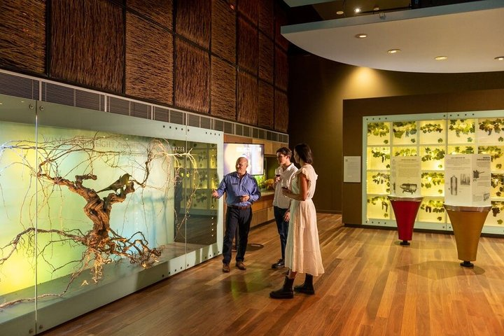 Hosted Tour & Tasting in Adelaide - Photo 1 of 6