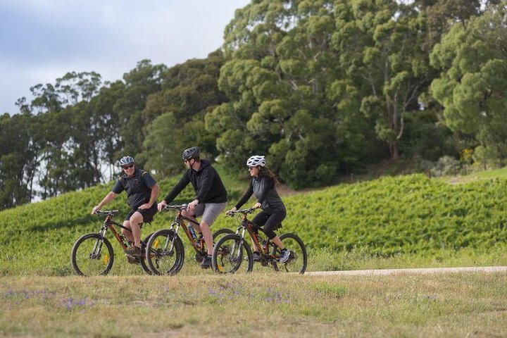 Hahndorf food and wine E-Bike Tour - Photo 1 of 8