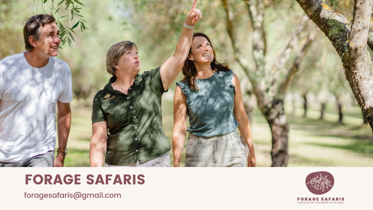 Half Day Tour - Food, Farm and Wine tour - Photo 1 of 17