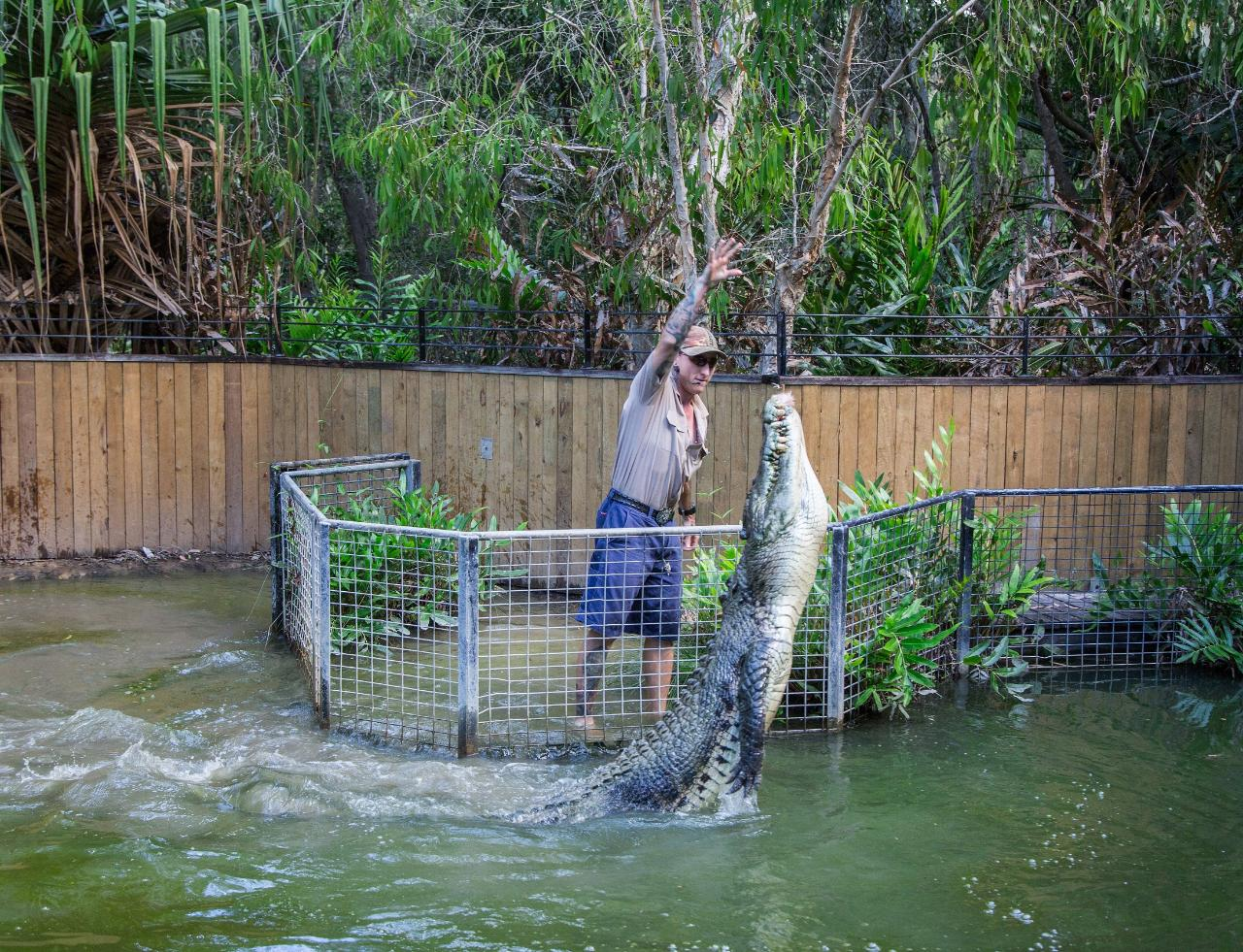 Hartley's Crocodile Adventures (Half Day) from Port Douglas - Photo 1 of 1