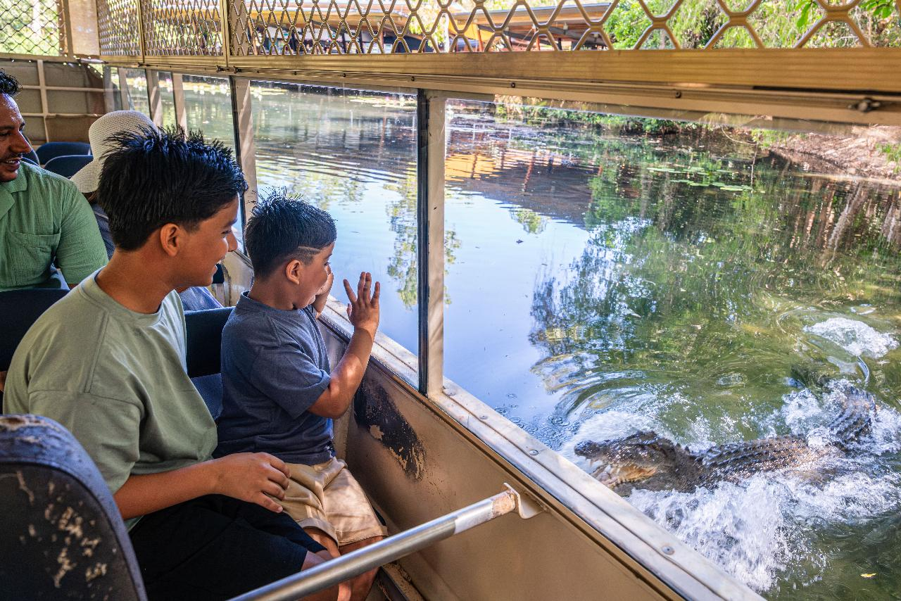 Hartley's Crocodile Adventures (half day) - Photo 1 of 11
