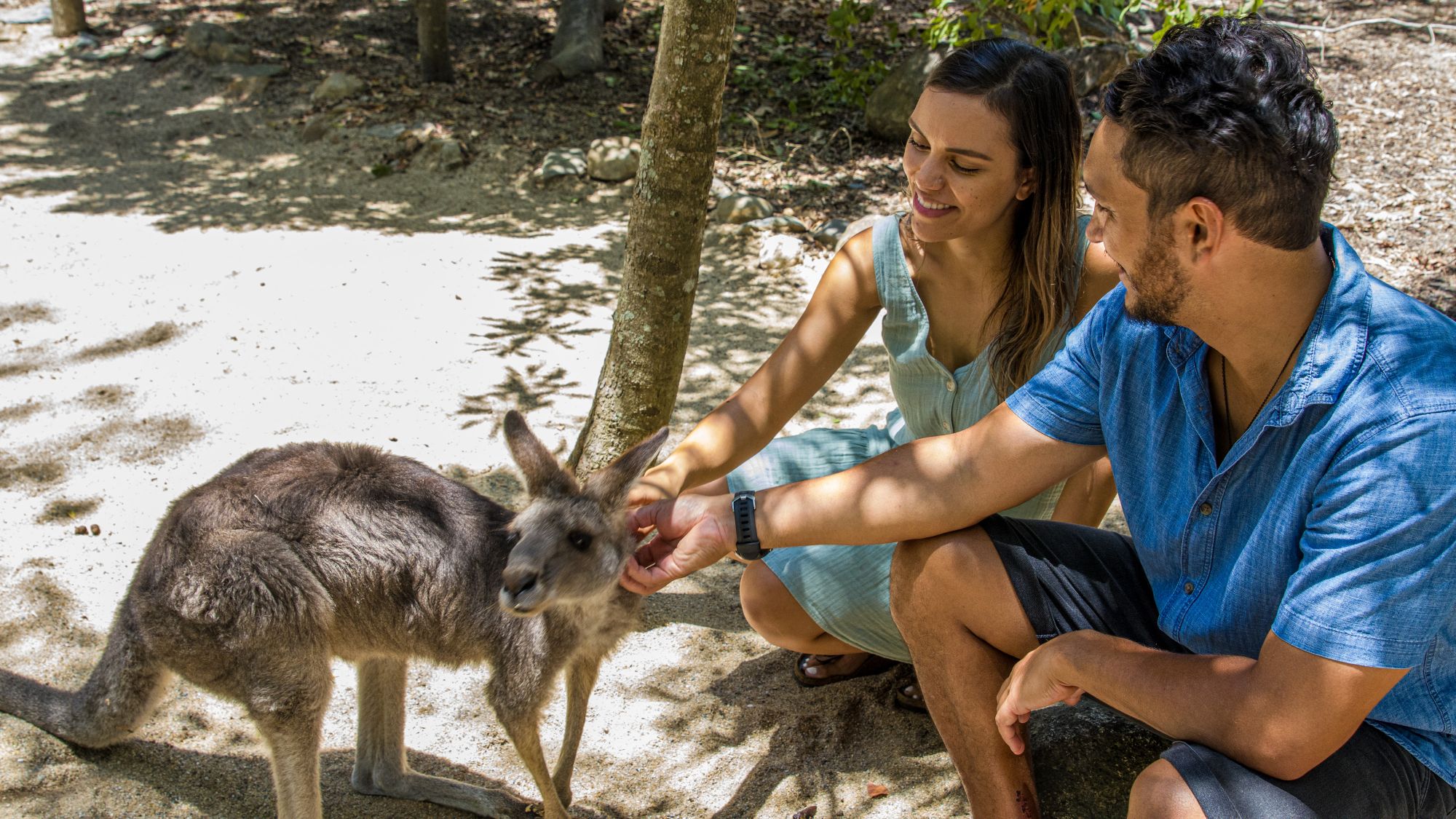 Experience the joy of connecting with Australia’s unique wildlife from gentle kangaroos to adorable koalas creating unforgettable memories in the heart of nature's wonders.
