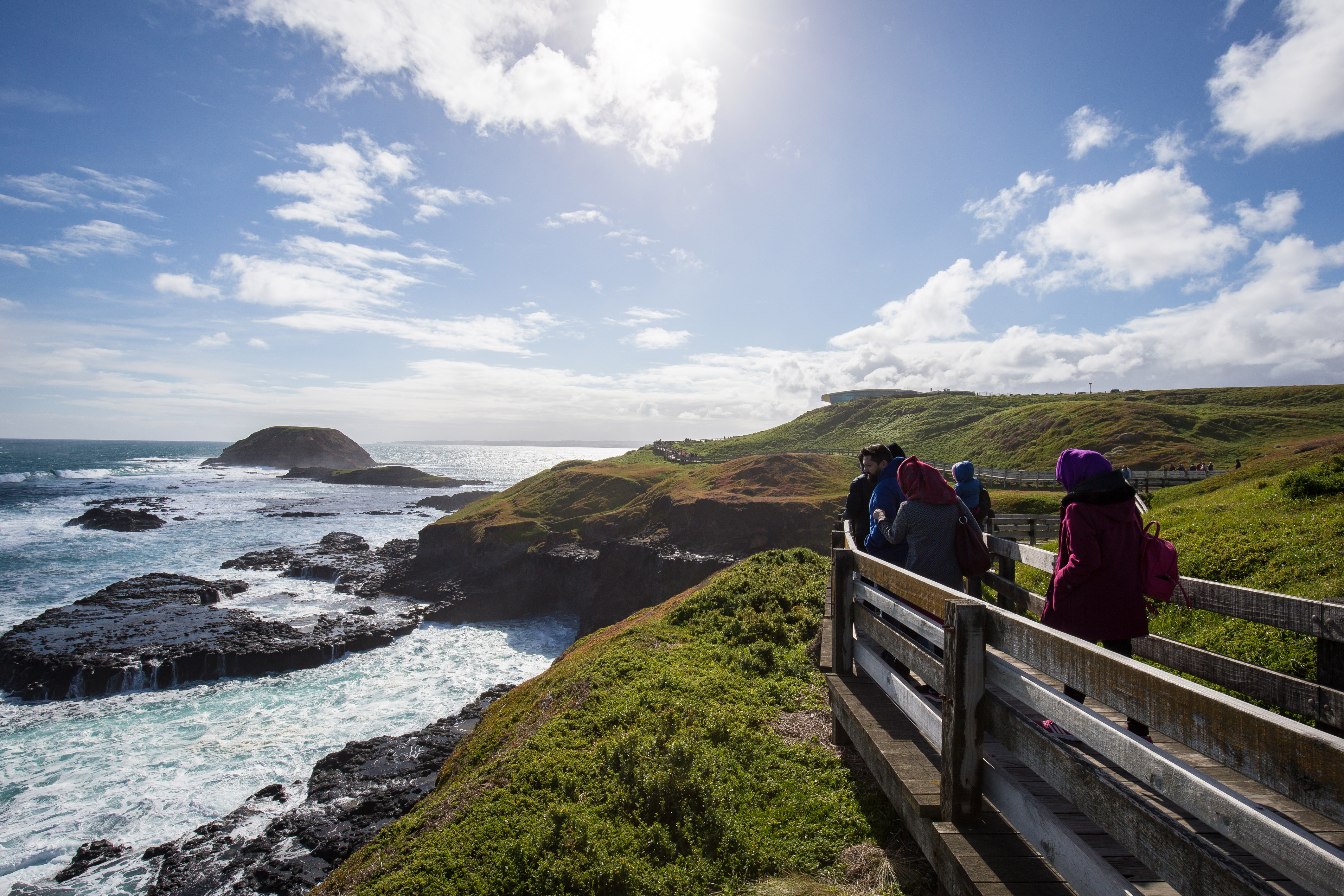 Explore breathtaking coastal views while wandering along scenic paths perfect for wildlife spotting and enjoying the beauty of nature at Healesville Sanctuary and Phillip Island.