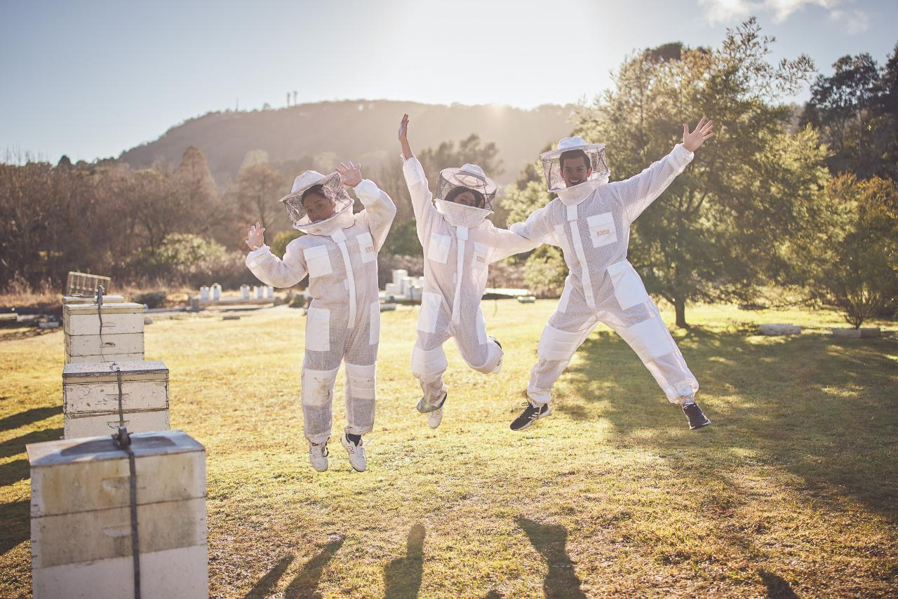 Bowral: Beekeeper Experience with Hive Opening and Honey Tasting - Photo 1 of 11
