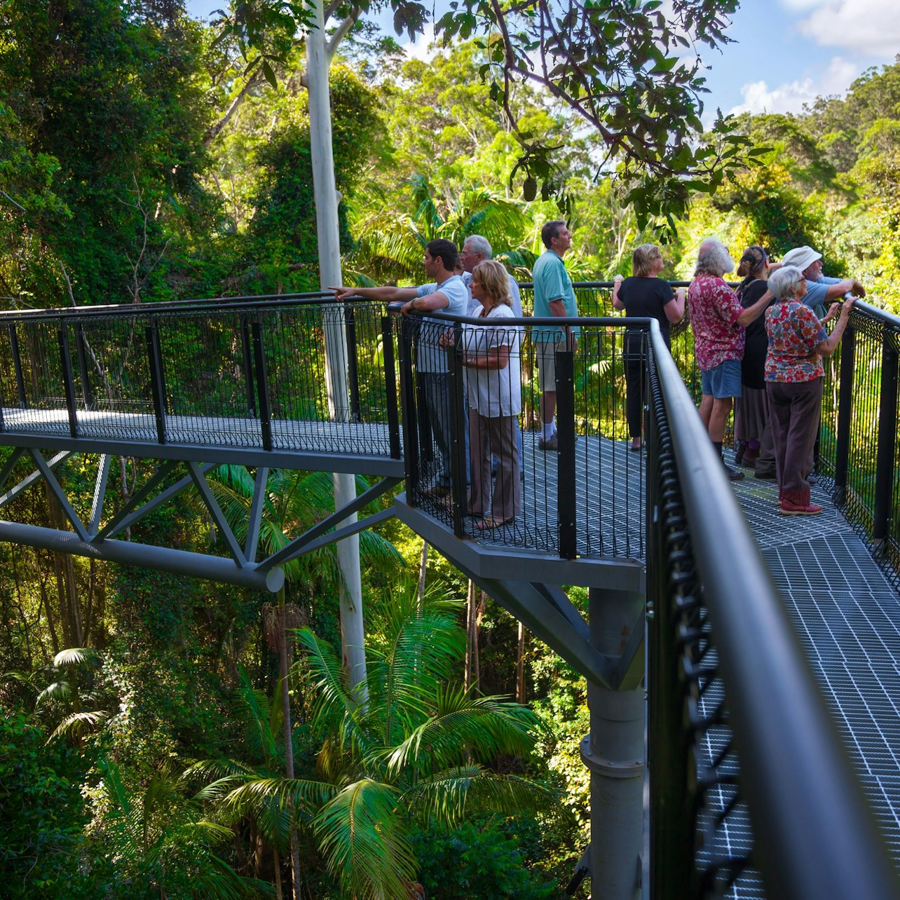 Experience the beauty of Tamborine Mountain as you explore lush landscapes local wineries and charming shops all while enjoying a leisurely hop-on hop-off bus adventure from Brisbane.