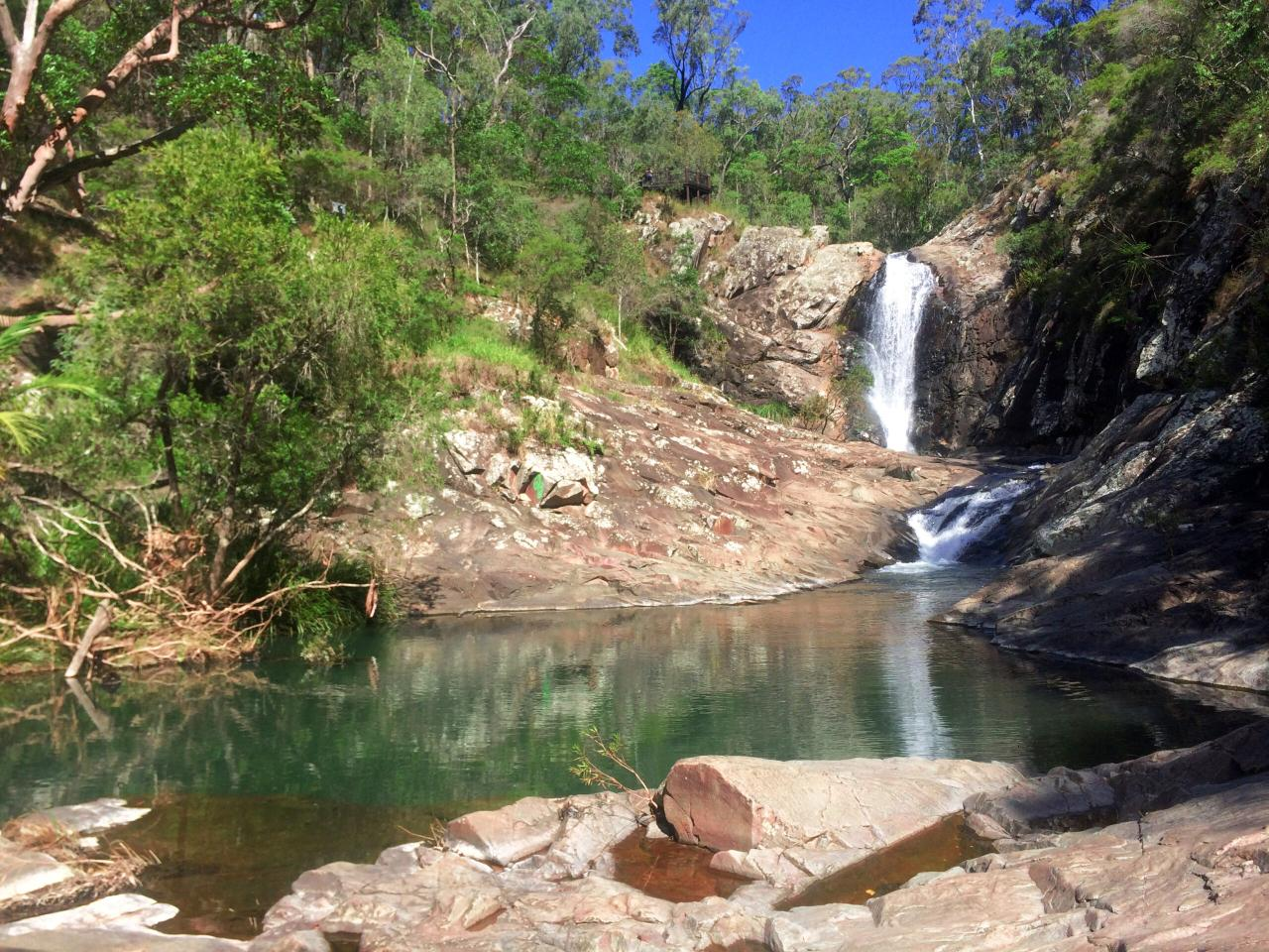 Tamborine Mountain - Hop On Hop Off - From Brisbane - Photo 1 of 25