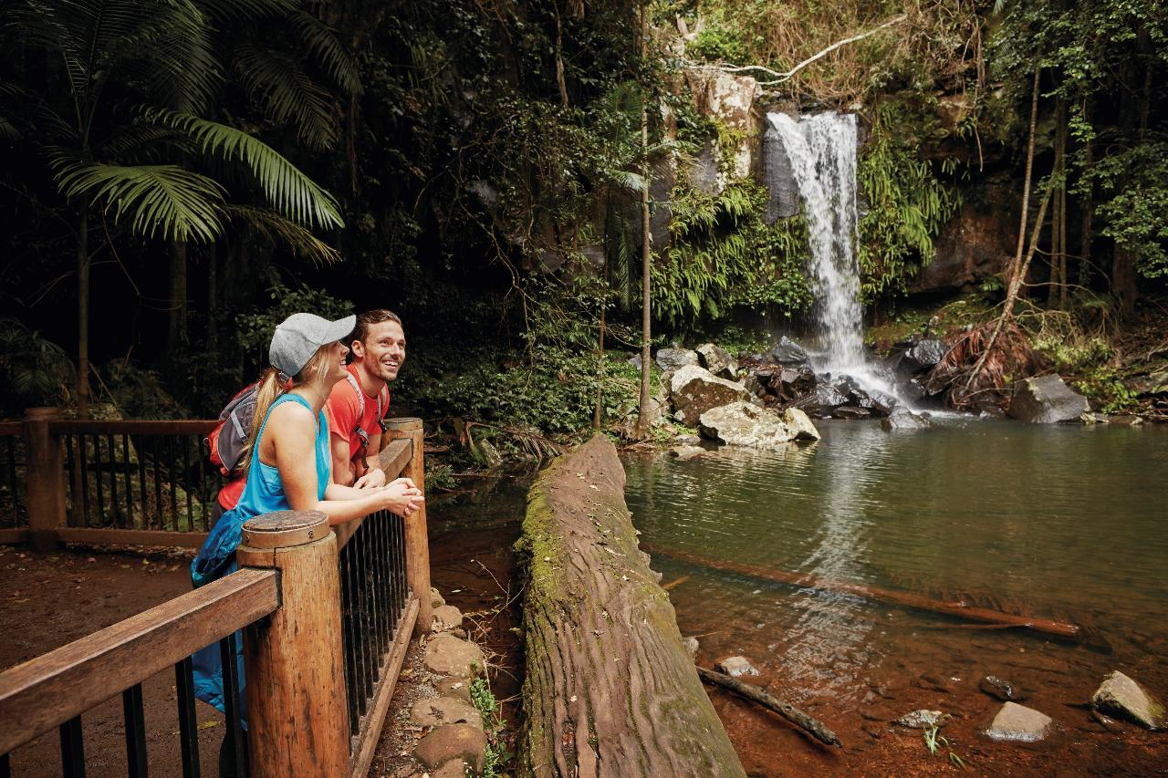 Tamborine Mountain - Hop On Hop Off - From Gold Coast - Photo 1 of 25