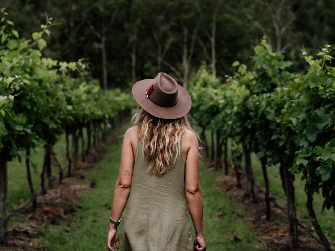 Hop on Hop off Wine Tasting Tour - From Gold Coast - Photo 1 of 14
