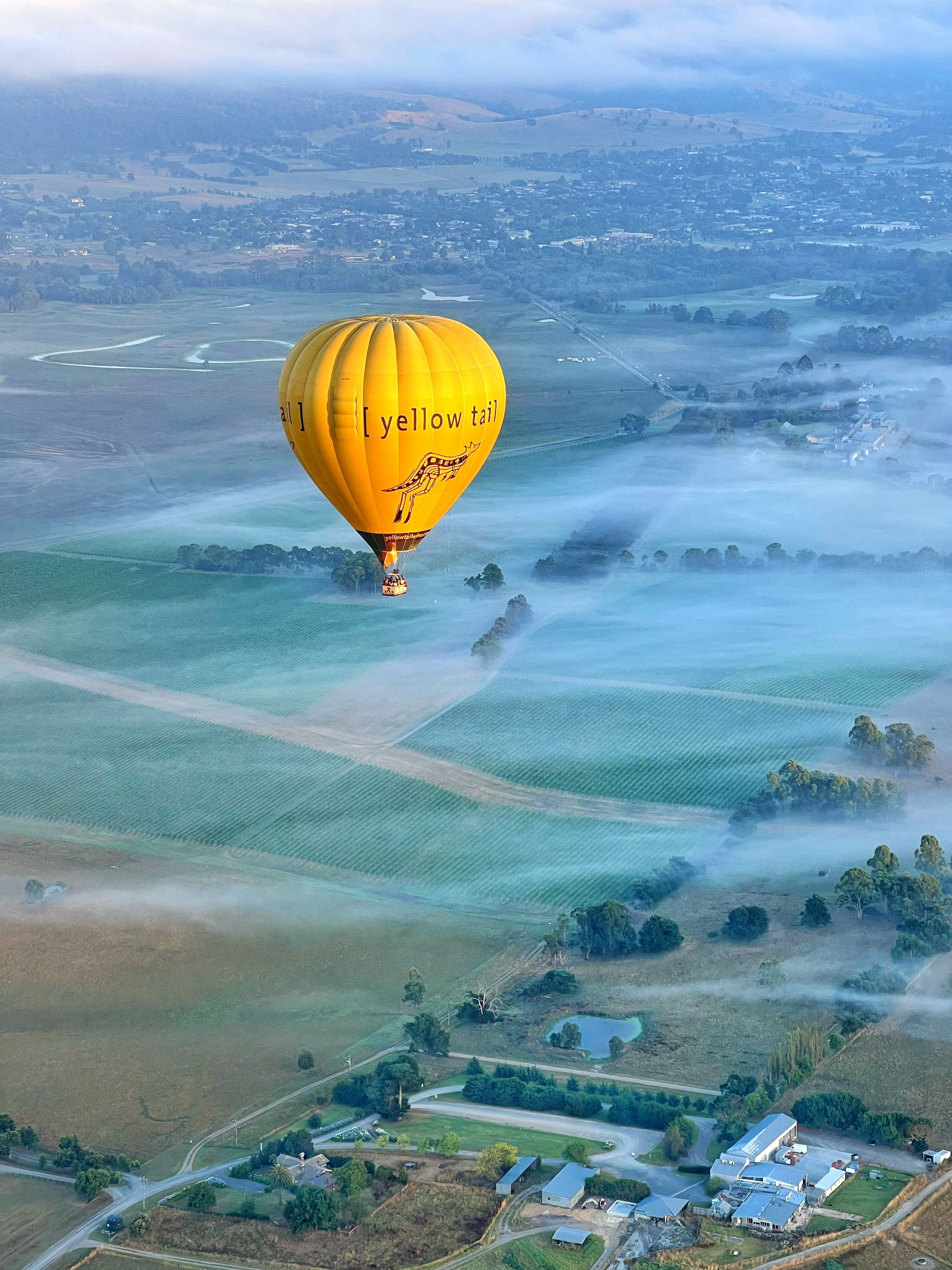 墨尔本的亚拉河谷日出热气球飞行| Pelago